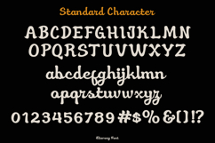 Eliavony Retro Script Product Image 3