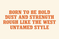Hartone Font - Display Serif Product Image 3
