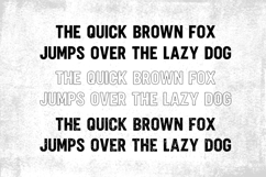 Inkcorrode Font - Distressed Product Image 3