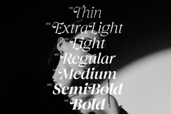 The Taylor Belle | Elegant Feminine Serif Display Product Image 3