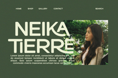 Heroxin - Monoline Ligature Font Product Image 3