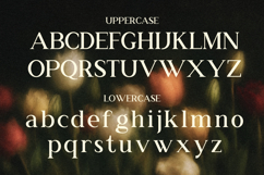 RS Djarum - New Classic Serif Font Product Image 3