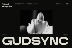 Koltav - Extended Bold Font Product Image 3