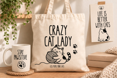 Snuggle Cat Font Duo Product Image 3