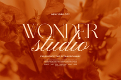 Bryn Vogue - Elegant Modern Serif Product Image 3