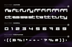 Wild Cyber - Modern Futuristic Expanded Boxy Sans Font Product Image 11