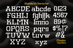 Monizo Display Serif Product Image 3