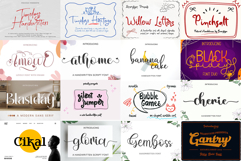 The Ultimate Premium Font Bundle 220 Fonts for Small Busines Product Image 4