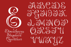 Dineschara Elegant Script Product Image 3