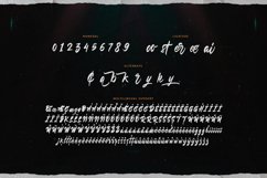 Rookyster - A Hand Brush Script Product Image 2