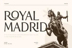 Flavour - Modern Luxury Sans Serif Product Image 4