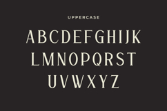 Gaisan - Sharp Modern Serif Font for Prestigious Branding Product Image 4