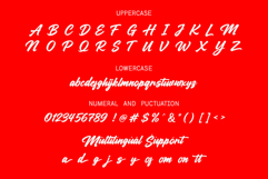 Monaleya - Handwriting Script Product Image 4