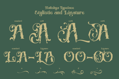 Hafishya Antique Typeface Product Image 4