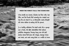 Fairforest Product Image 4