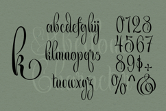 Abellona Script Product Image 4