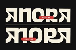 Vexora - Modern Ligature Sans Product Image 4