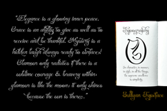 Sullyan Modern Calligraphy Product Image 4