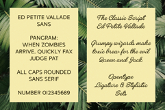 ED Petite Vallade - Font duo Product Image 9