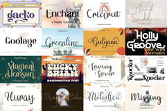 The Ultimate Premium Font Bundle 220 Fonts for Small Busines Product Image 5