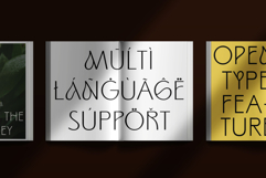 ED BImoni Product Image 4