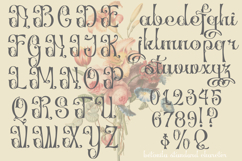 Betonila Decorative Font Product Image 4