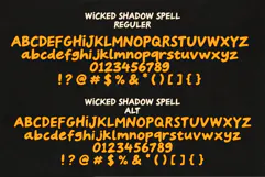 Wicked Shadow Spell Product Image 4