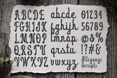 Alligony Retro Script Product Image 4
