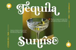 Lane Fiegras - Retro Serif Font Product Image 4