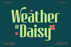 Nureta - Classic Elegant Display Font Product Image 3