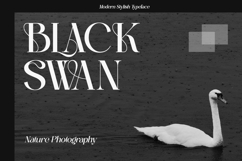 Balenia - Modern Elegant Serif Font Product Image 5