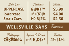 Wellsville Product Image 4