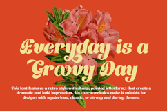 Handriyen Bold Script Product Image 4