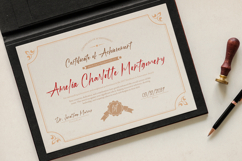 Streaklines - Dry Brush Script Font Product Image 4