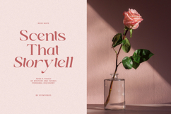 Serene Bliss - Modern Branding Font Product Image 5