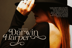 Soluga - Luxury Elegant Serif Product Image 5