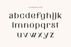 Avello - Elegant Serif Product Image 5