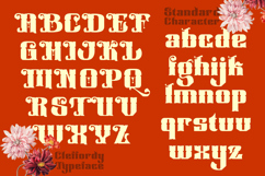 Cleffordy Traditional Serif Product Image 5