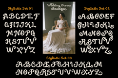 Eliavony Retro Script Product Image 5