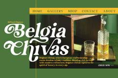 Lane Fiegras - Retro Serif Font Product Image 5