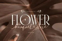 Forever With Love - Elegant Ligature Lovely Font Duo Product Image 5