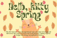 Dihmantra Bold Display Typeface Product Image 5