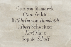 Aesthetic Styles - Tall Serif Product Image 5