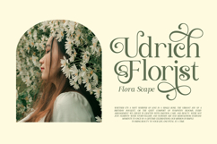 Avoleina - Luxury Serif Font Product Image 5