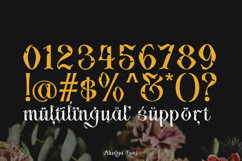 Aholya - Decorative Display Font Product Image 5