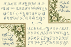 Bafirolic Classic Script Product Image 5