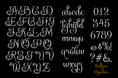 Sullyan Modern Calligraphy Product Image 5