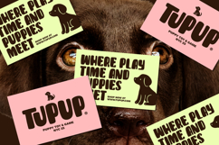 SNACKY MEOW Product Image 5