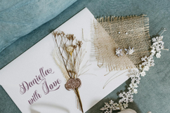 Serahine Script Product Image 6