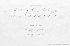 Salt and Sea Script Product Image 6